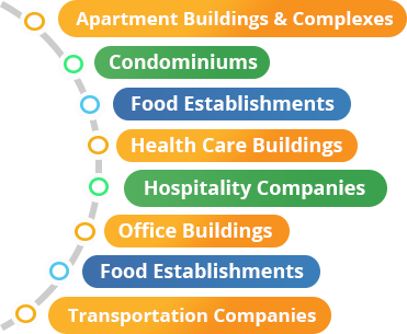 Our Services